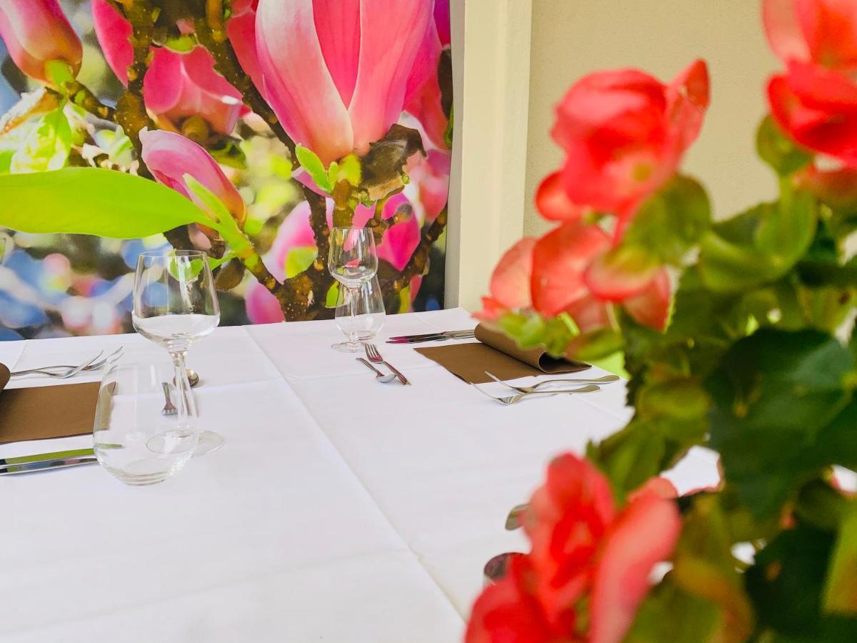 Zu Den Linden - Radebeul Pension Mit Restaurant Eksteriør bilde